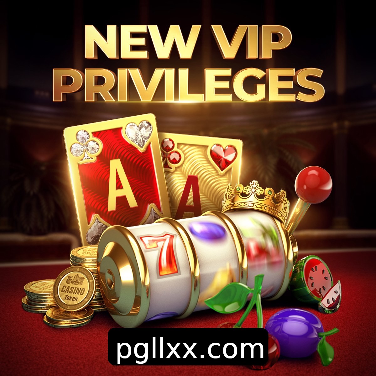 Programa VIP LLXX